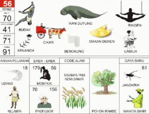 Erek Erek 56 Dalam Buku Mimpi 2D Bergambar Lengkap