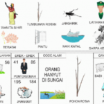 Erek Erek 85 Dalam Buku Mimpi 2D Bergambar Lengkap